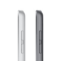 Apple iPad 10.2 (2021) Wifi 256 GB Rymdgrå